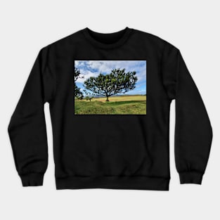 Madeira, motif 1 Crewneck Sweatshirt